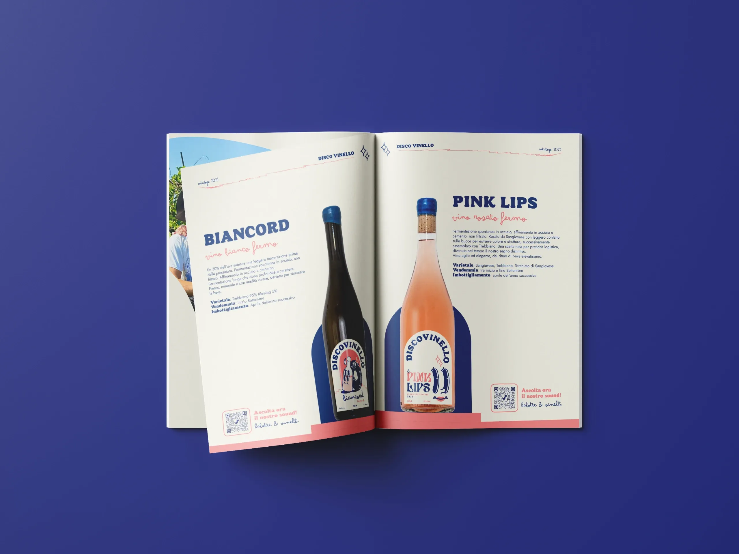 Discovinello — Catalogo 2025